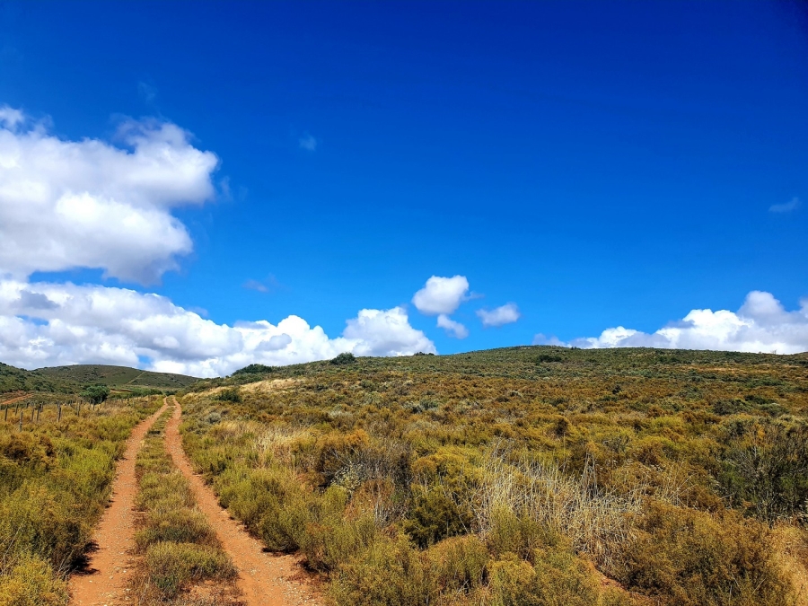 Commercial Property for Sale in Bonnievale Western Cape